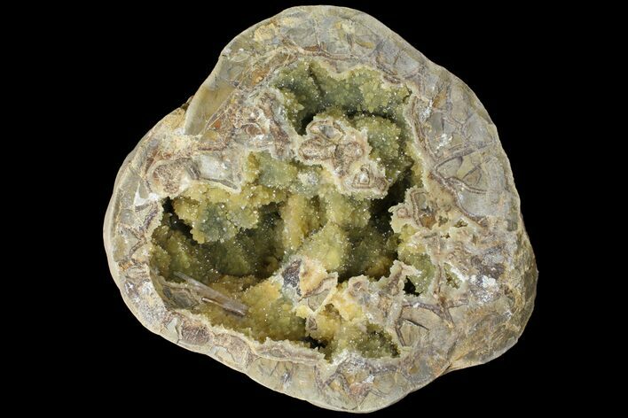 Yellow Crystal Filled Septarian Geode - Utah #98389